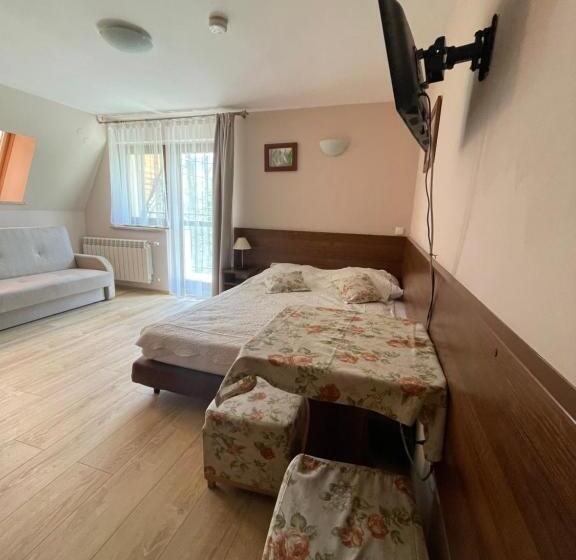 פנסיון Willa Wysoka