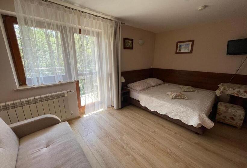 פנסיון Willa Wysoka