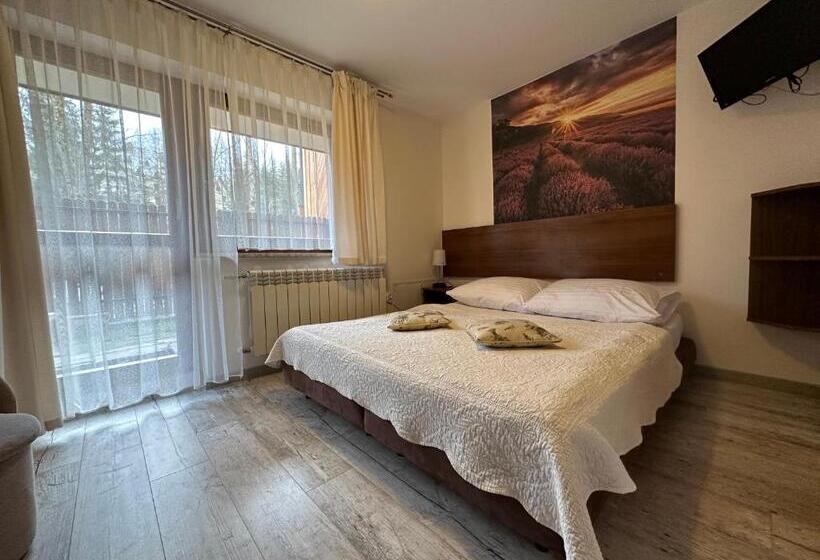 פנסיון Willa Wysoka