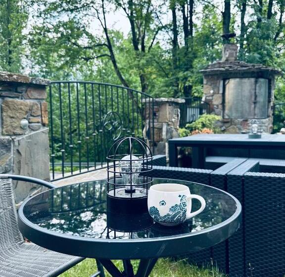 פנסיון Willa Wysoka