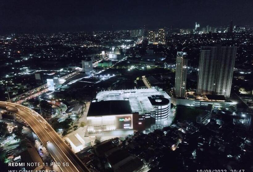 The Celandine By Dmci