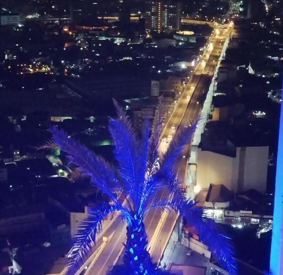 The Celandine By Dmci