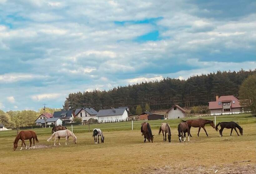 צימר Pod Daglezją