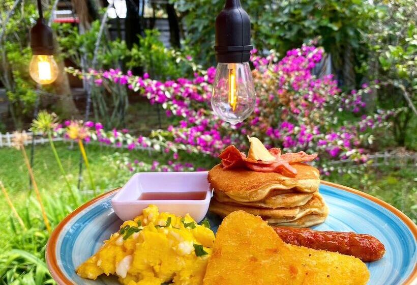 민박 Casa Skema   Garden