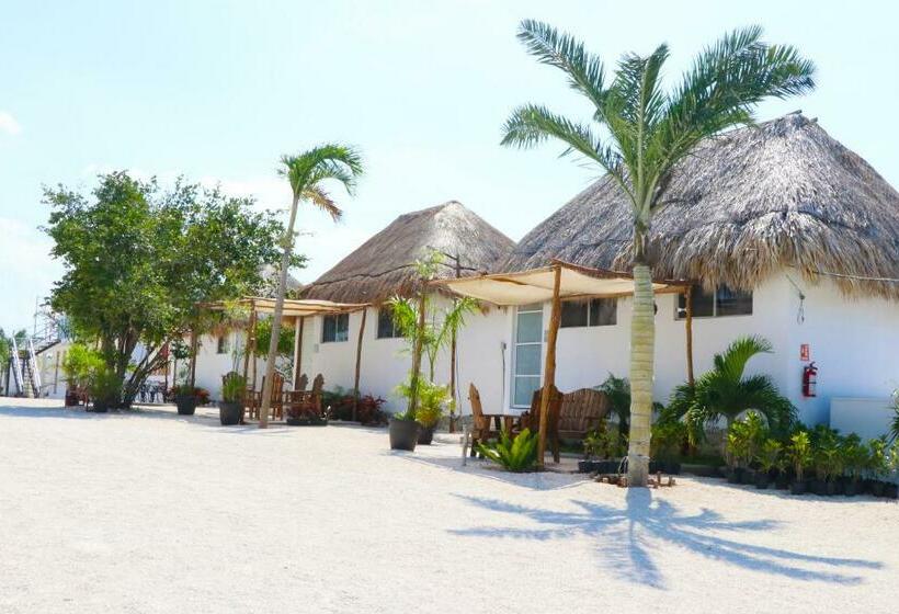 Отель Casa Buddha Chelem