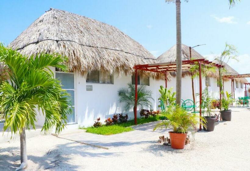 Отель Casa Buddha Chelem