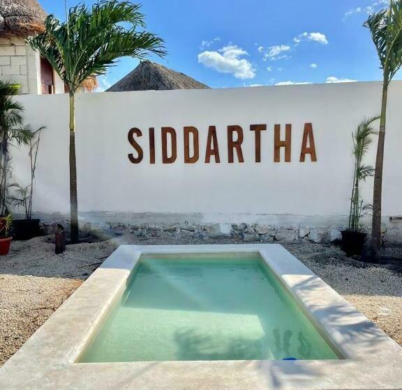 Отель Casa Buddha Chelem