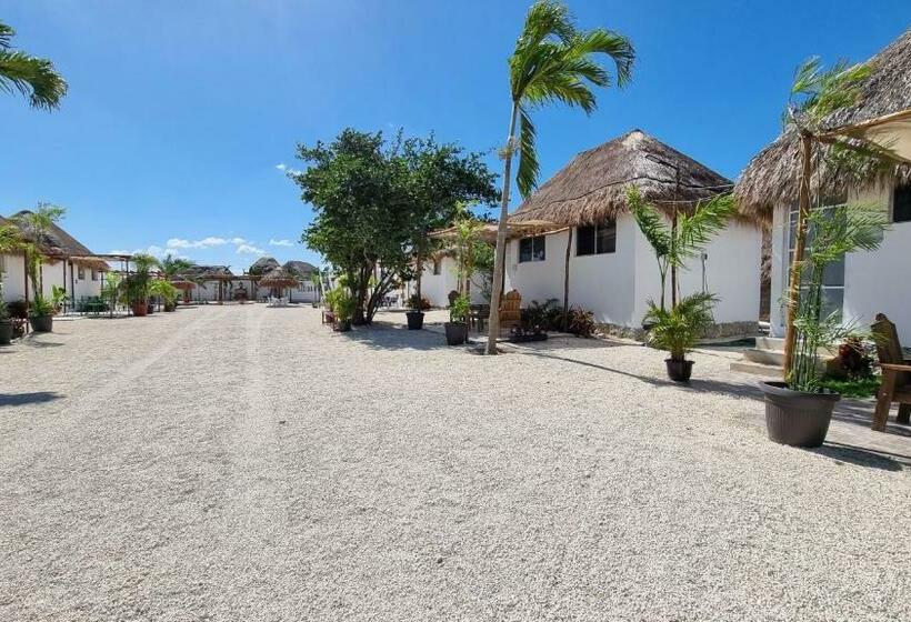 Отель Casa Buddha Chelem