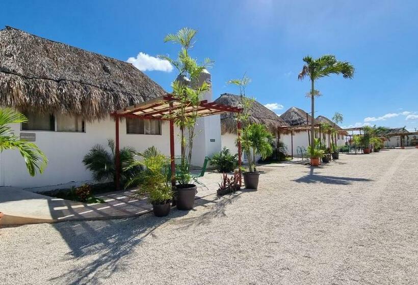 Отель Casa Buddha Chelem