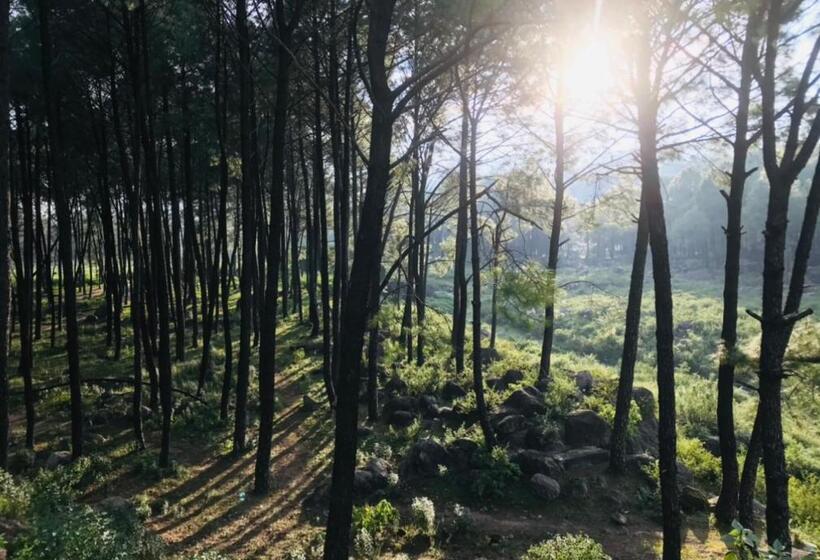 酒店 Himalayan Retreat