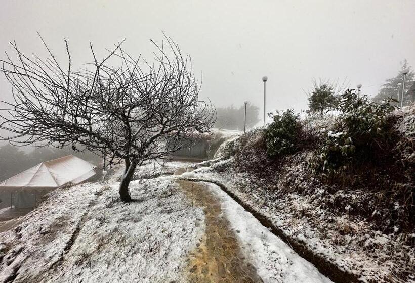 ホテル Instaview Kanatal