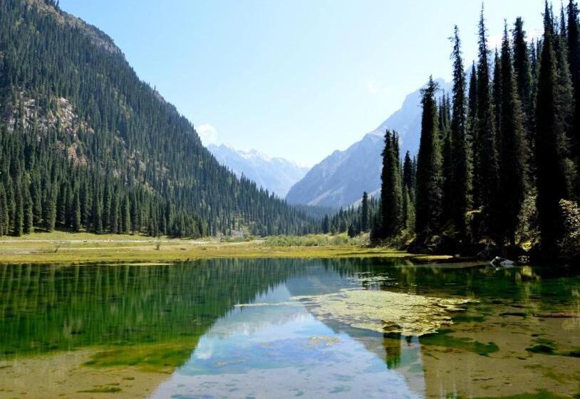 پانسیون кереге таш