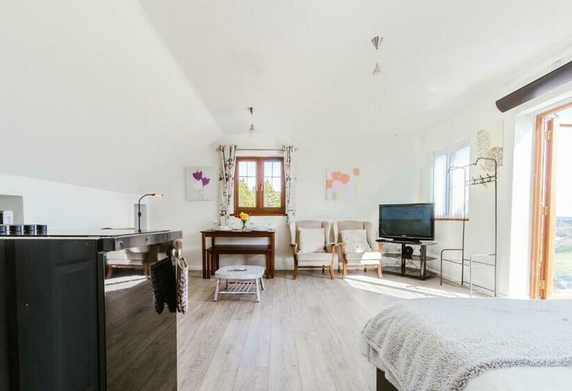 بنسيون Bryn Gerrig View