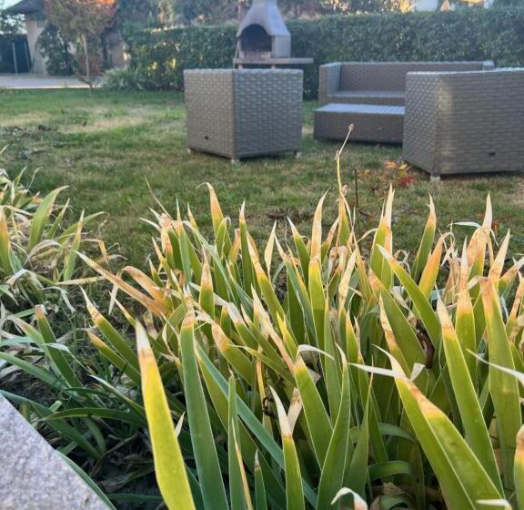 פנסיון Casa Fruscione