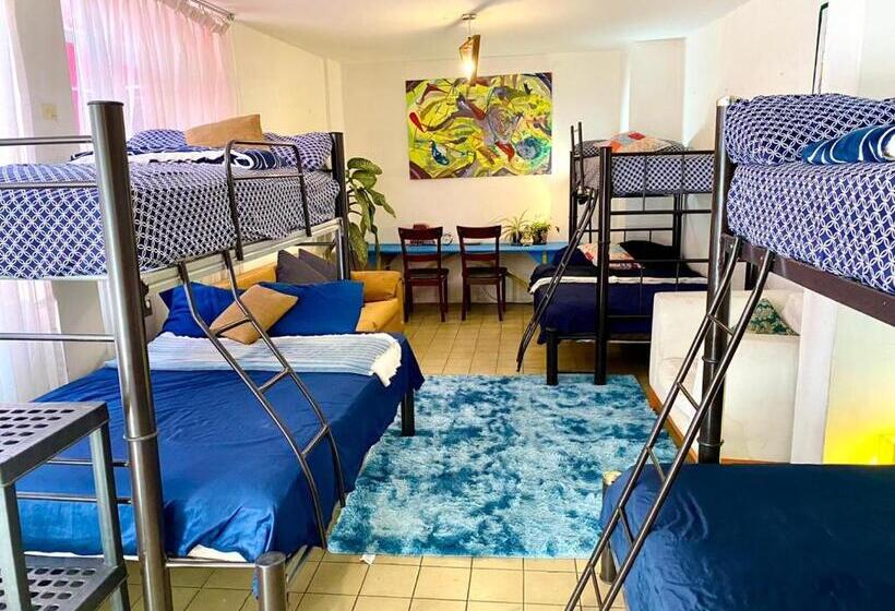 Пансион Free Spirit Hostel Guadalajara