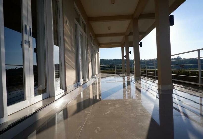 פנסיון Gunza Bed And Breakfast