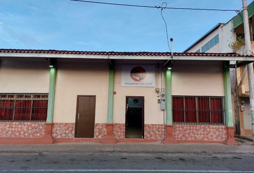 بنسيون Hospedaje Los Lirios Chitré