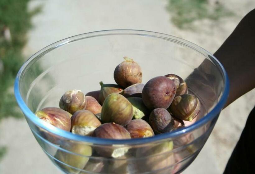 Pensiunea Delta Drill