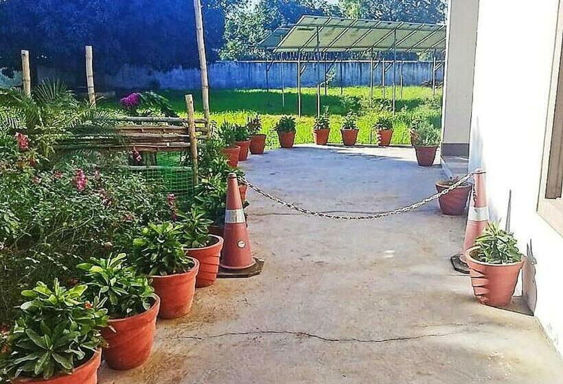 The Quintessence Hotel And Resort