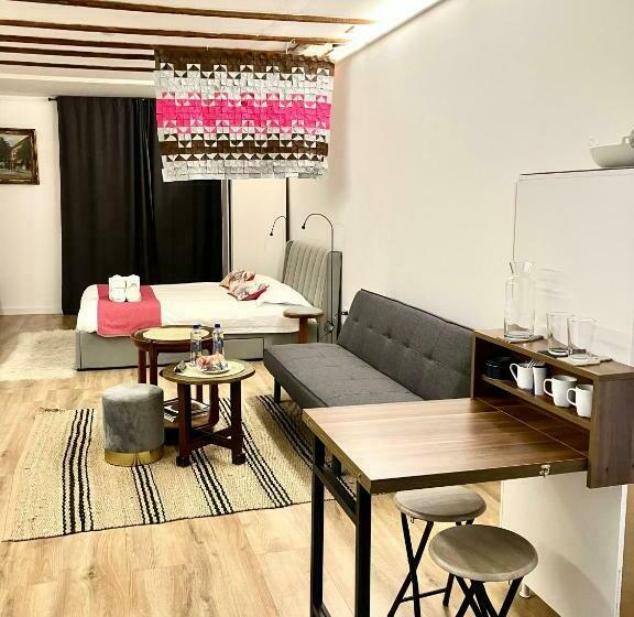 Bed and Breakfast Het 33 The Hague Center Museum Quarter