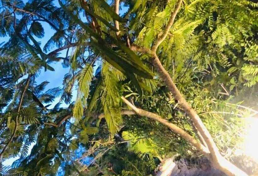 Bed and Breakfast The Dream Garden Bungalow