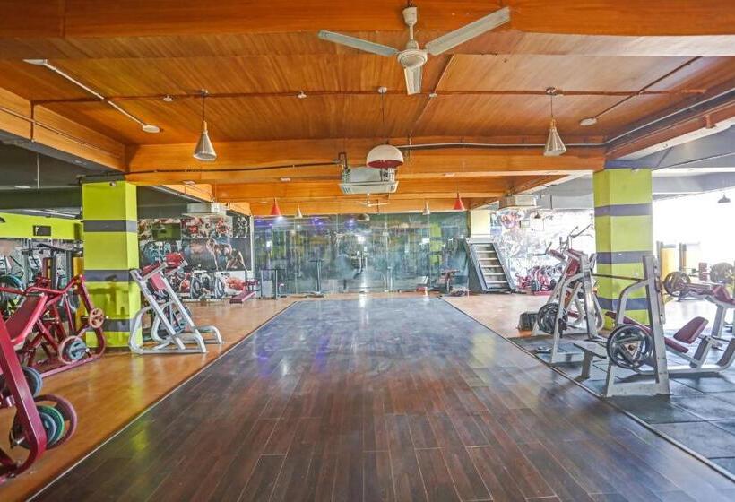 Отель Collection O Shree Shyam