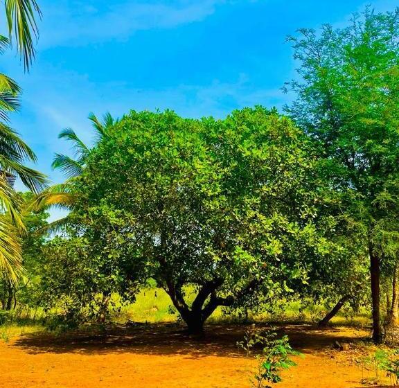 Szálloda Life Of Coco