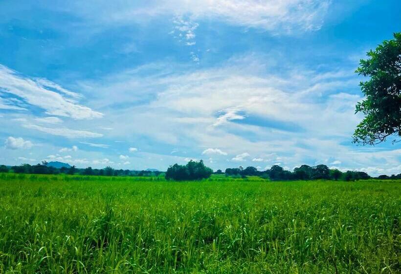 Szálloda Life Of Coco