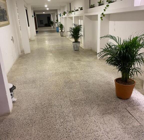 호텔 Palma Azul Beach