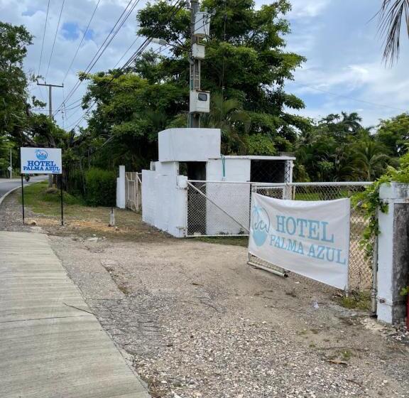 هتل Palma Azul Beach