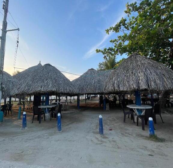 호텔 Palma Azul Beach