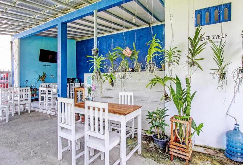 酒店 Spot On 92179 Latinos House