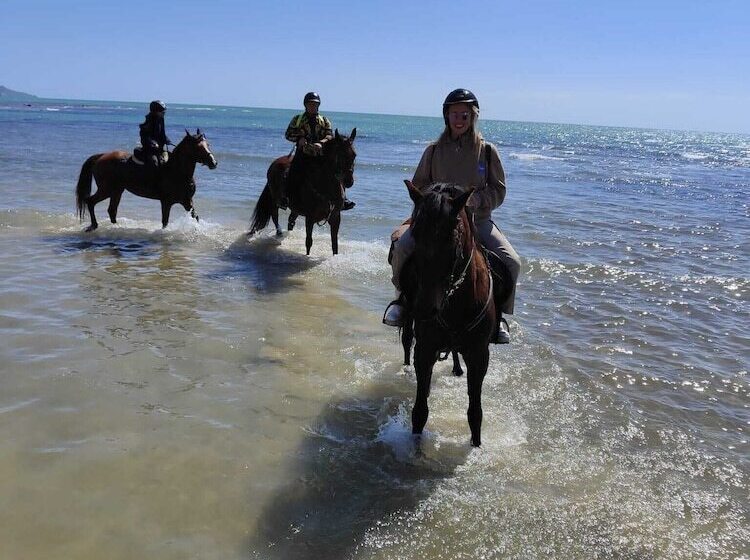 酒店 Tendu  Punta Bianca Glamping Camp