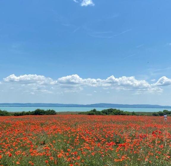 ペンション Balatonakali Teniszklub és Vendégház