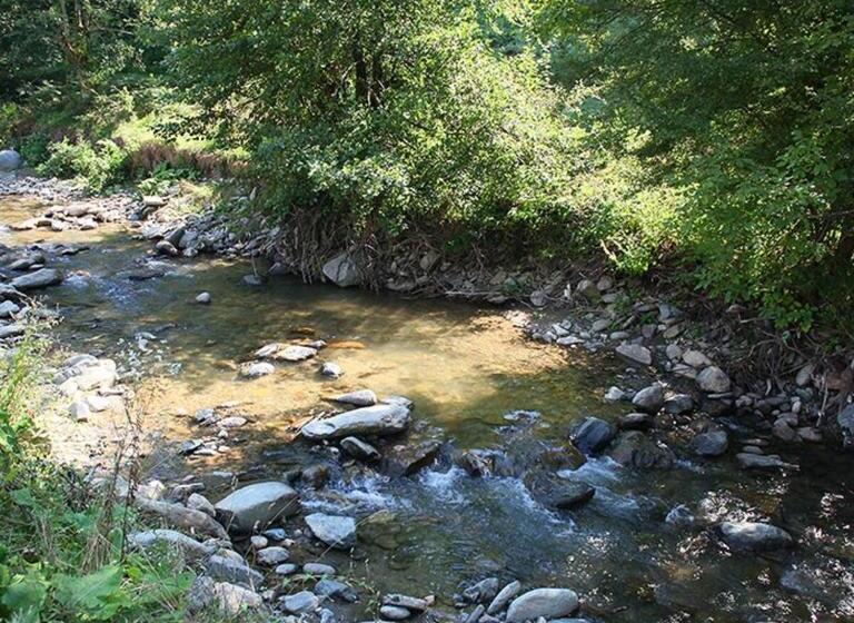 Пансион Conacul Vanatorului Borlova Muntele Mic Enduro Base