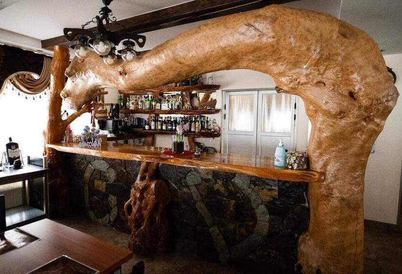 Пансион Conacul Vanatorului Borlova Muntele Mic Enduro Base