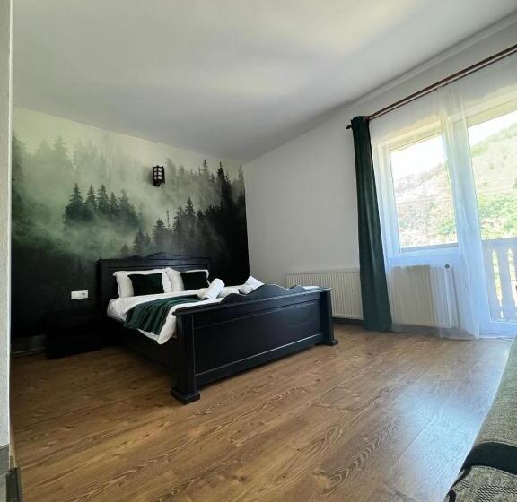 Пансион Conacul Vanatorului Borlova Muntele Mic Enduro Base