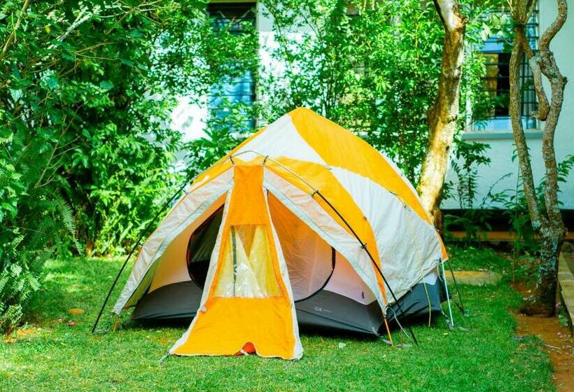 膳宿费 Marangu Lodge & Campsite