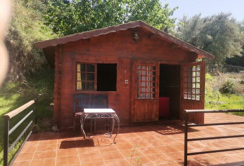 هاستل Auberge Ramz S