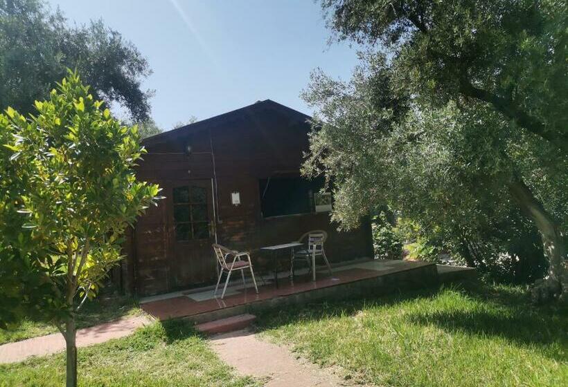 هاستل Auberge Ramz S