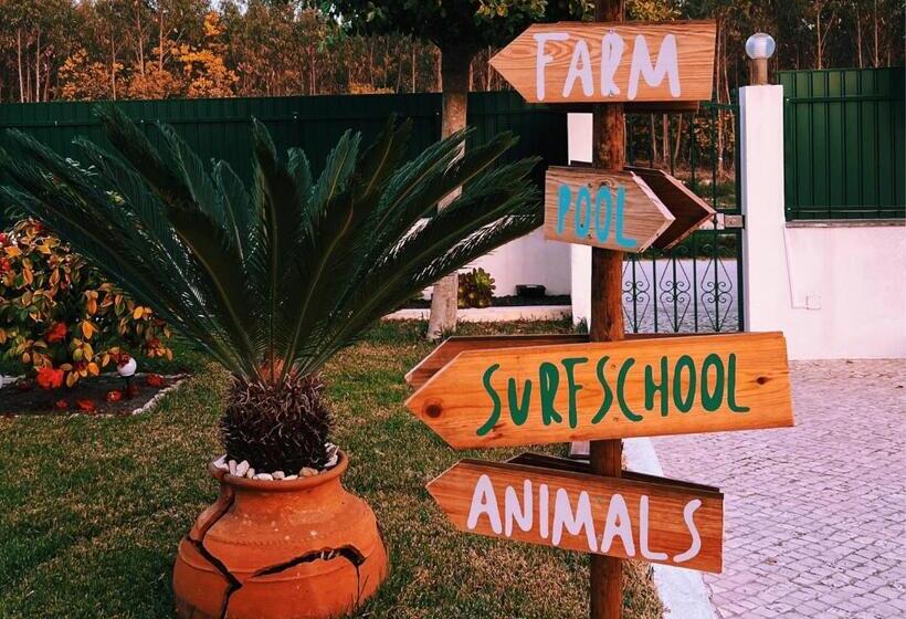 ユースホステル Cliff Surf House