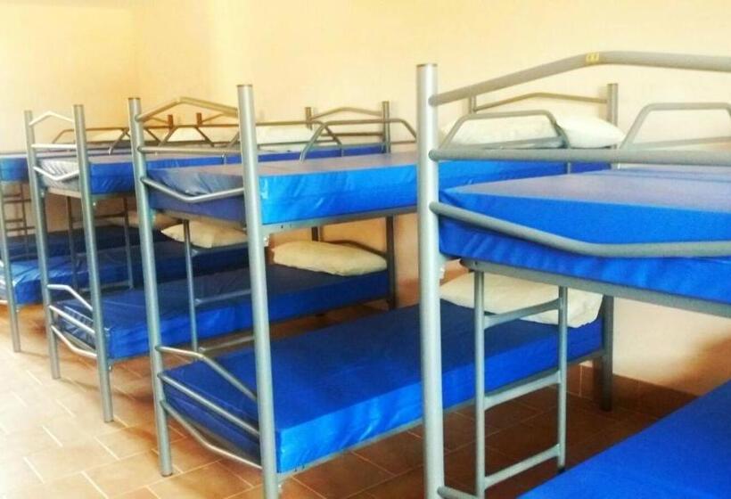 ユースホステル El Camino De Las Estrellas