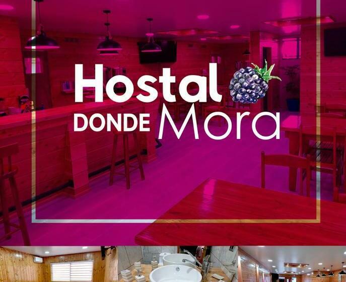 הוסטל Hostal