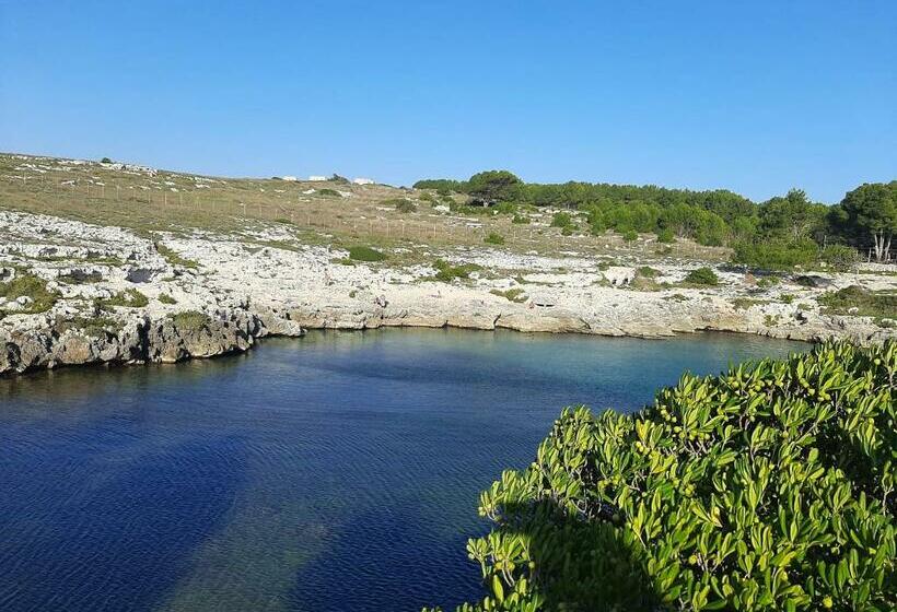 B&b Il Palombaro