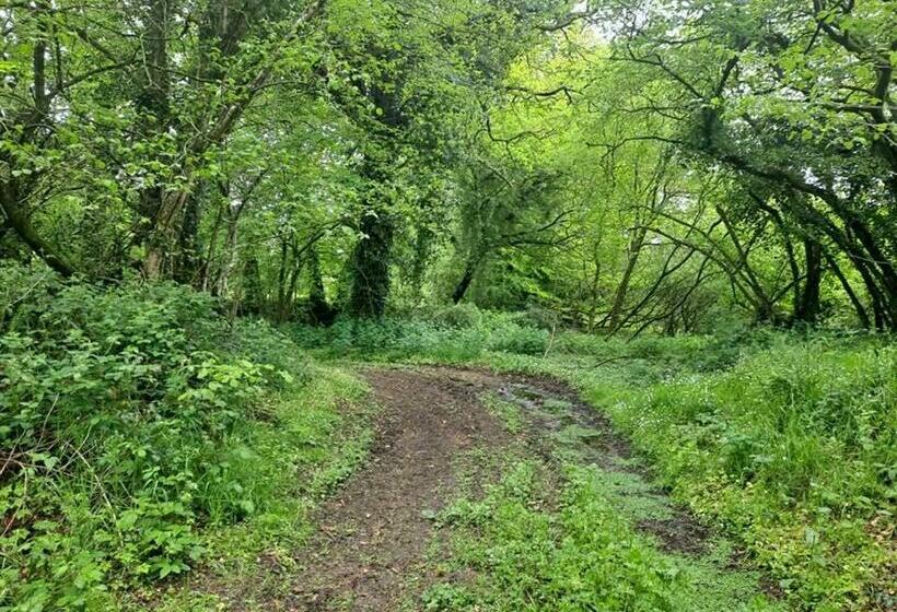 مبيت وإفطار Manoir Le Rest