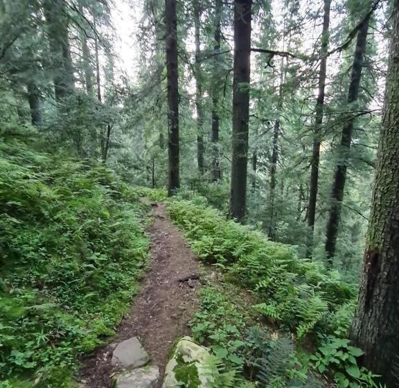 ベッドアンドブレックファースト The Rosly Estate