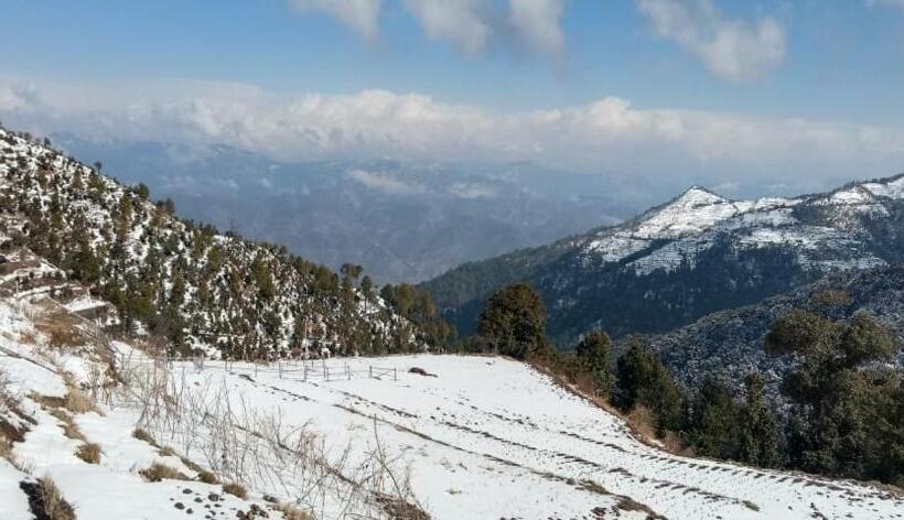 住宿加早餐 The Rosly Estate