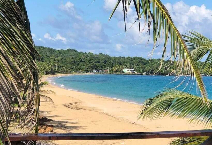 Hospedaje Rosa Del Mar & Sweets Cafe