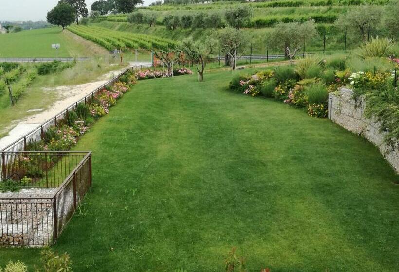 בית מלון כפרי Agriturismo La Rondinella