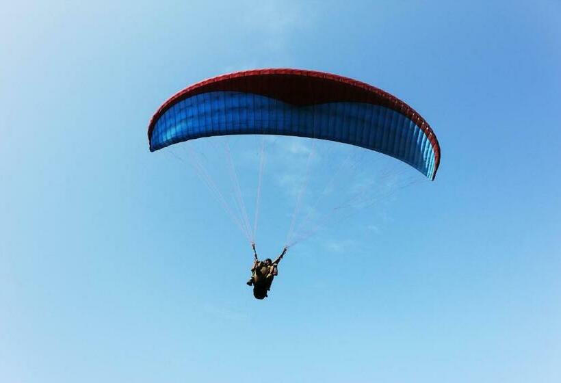 酒店 Beach Deluxe Guesthouse Carolina S